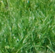 Picture_2.png
